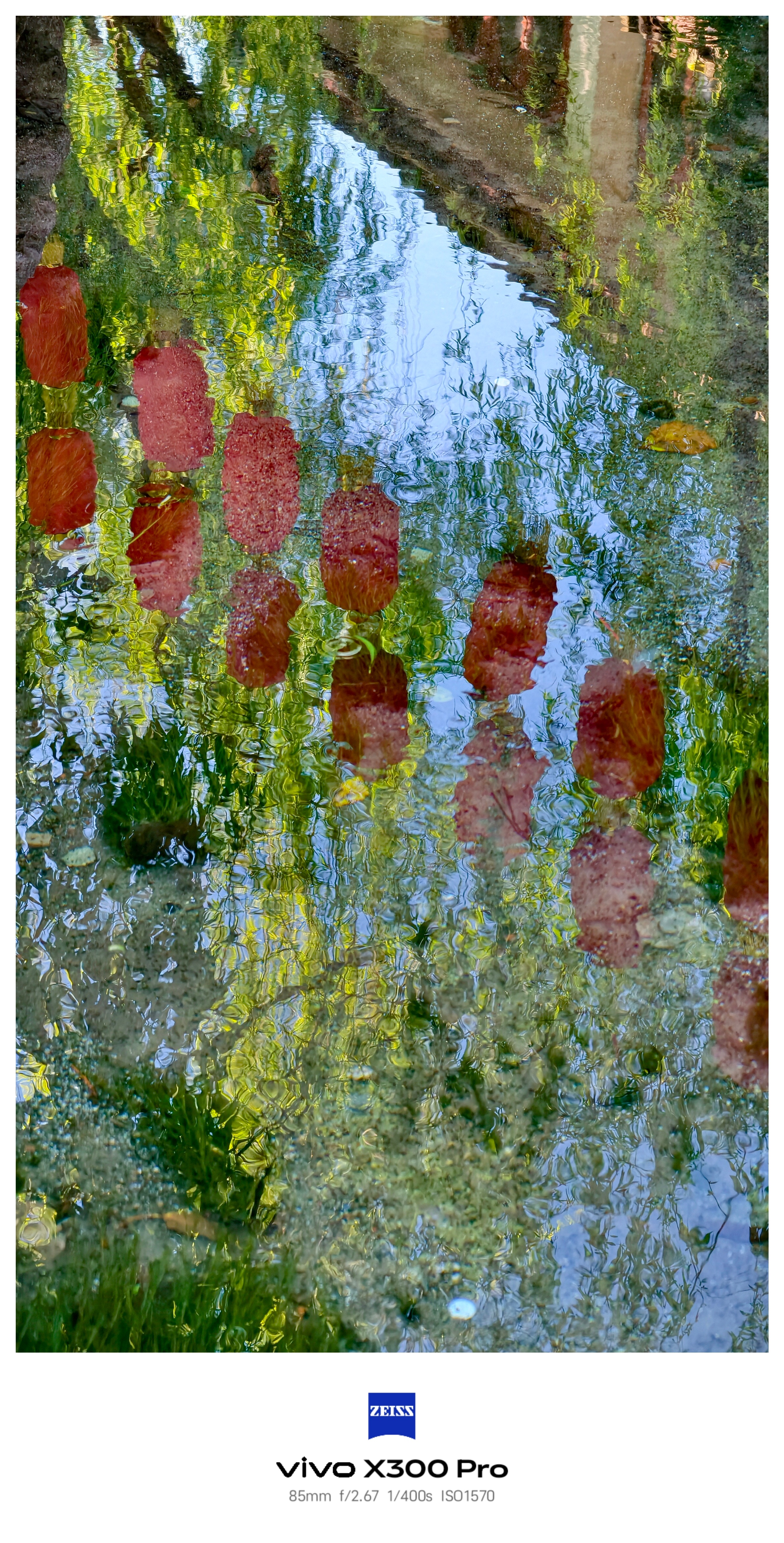 在丽江的古镇晃悠，抬头就是玉龙雪山，流水、鲜花和老房子......   丽江·束