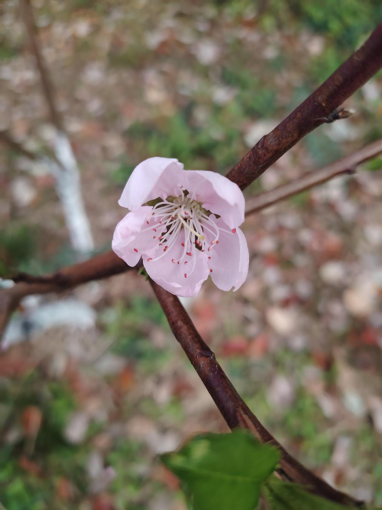 今天阳光正好，带着孩子去体验了街舞课。

第一次接触，小家伙明显有些手忙脚乱，动