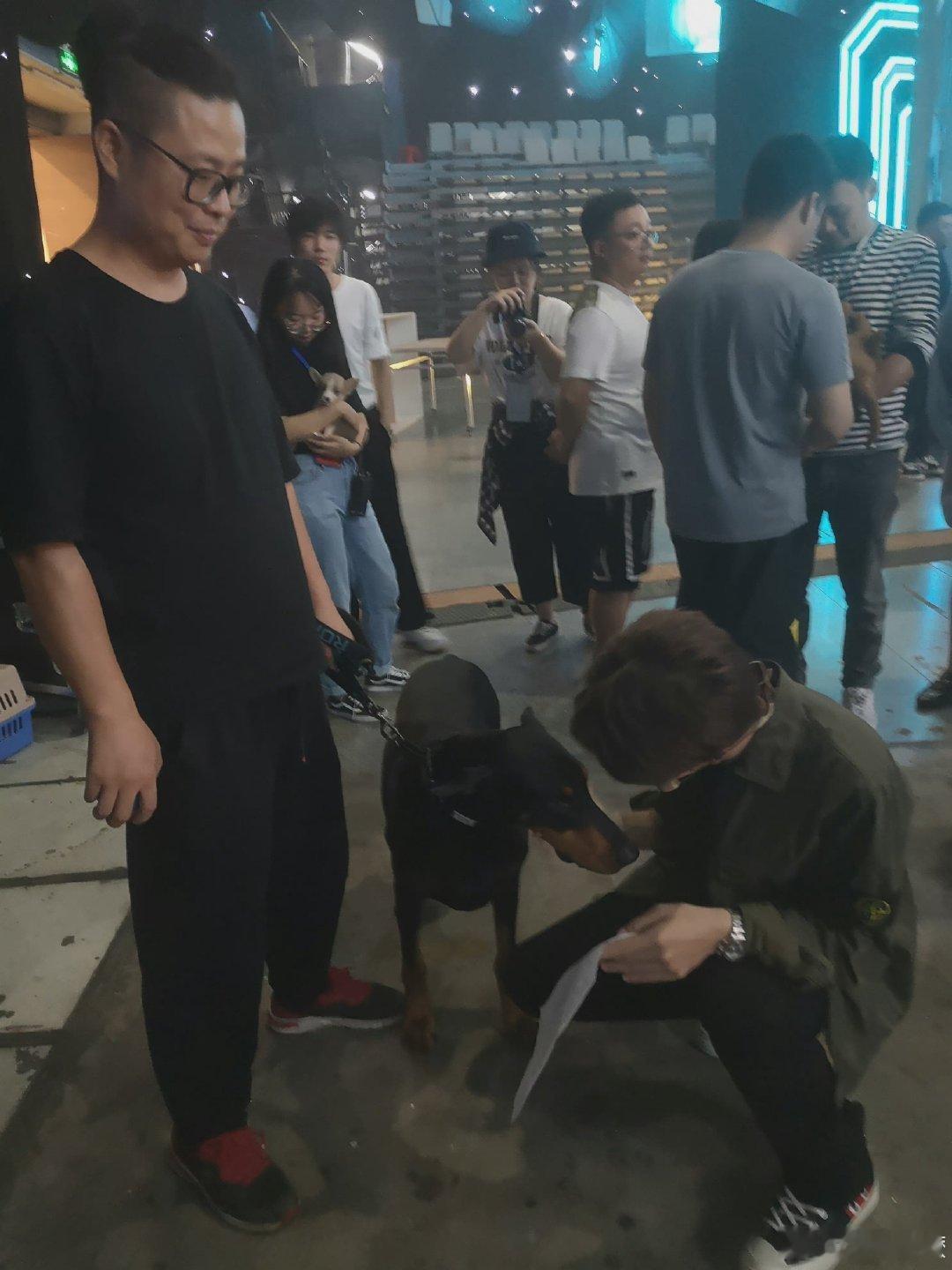 王一博 wyb王一博带你看见豹之地 小动物们特别喜欢王一博💚王一博 | 181