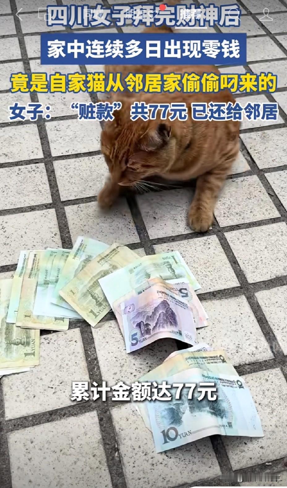 招财猫出现了？四川女子拜完财神后，家中连续多日出现零钱，累计高达77元。

难道