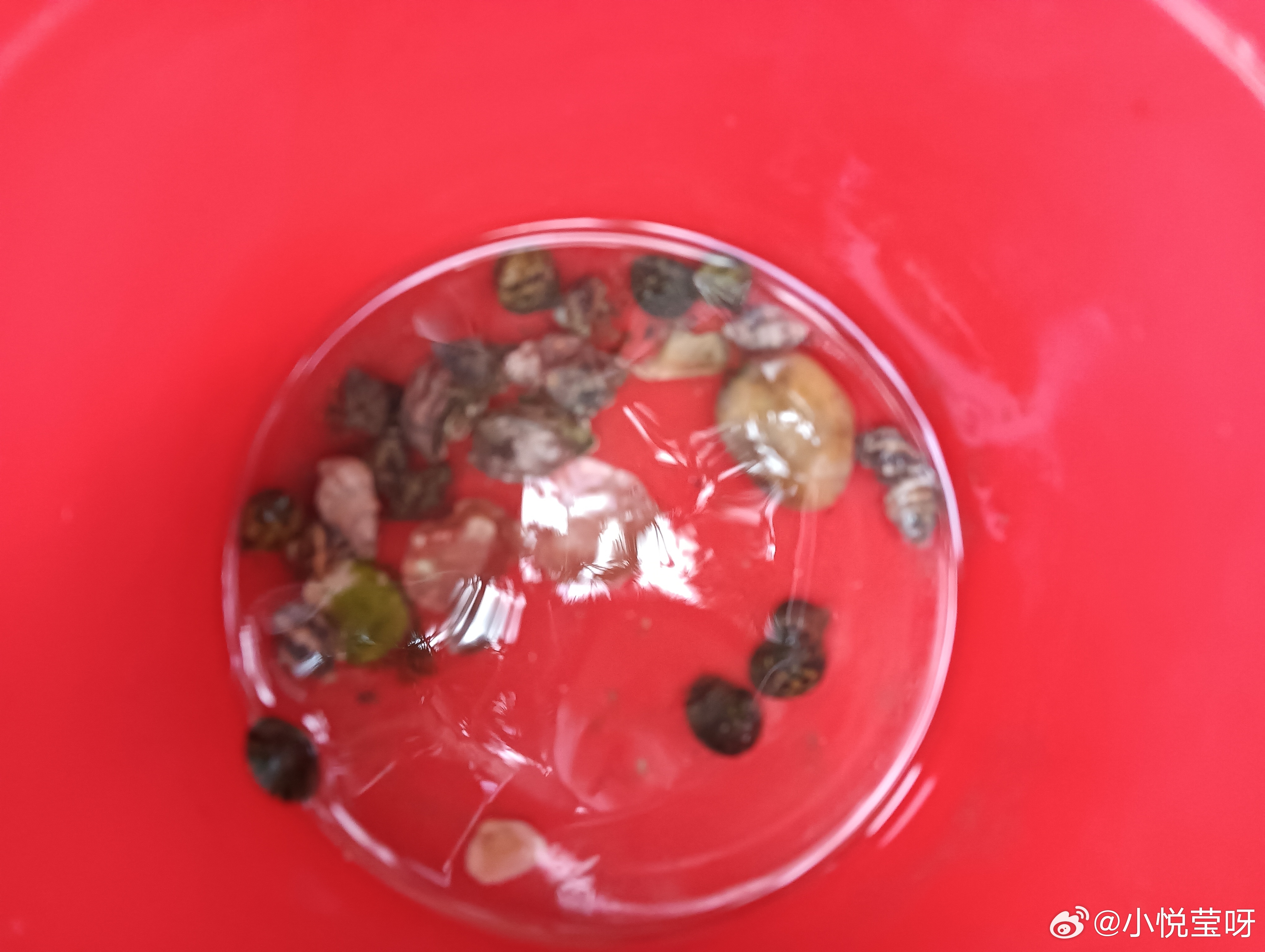 中午饭，吃完了才想起拍照，可能太久没吃辣了，吃了点辣的总觉得肚子那样的，形容不上