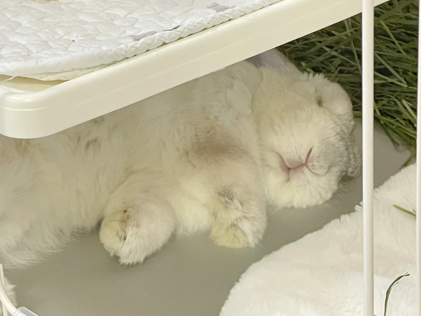 麻麻人家不想起床😴