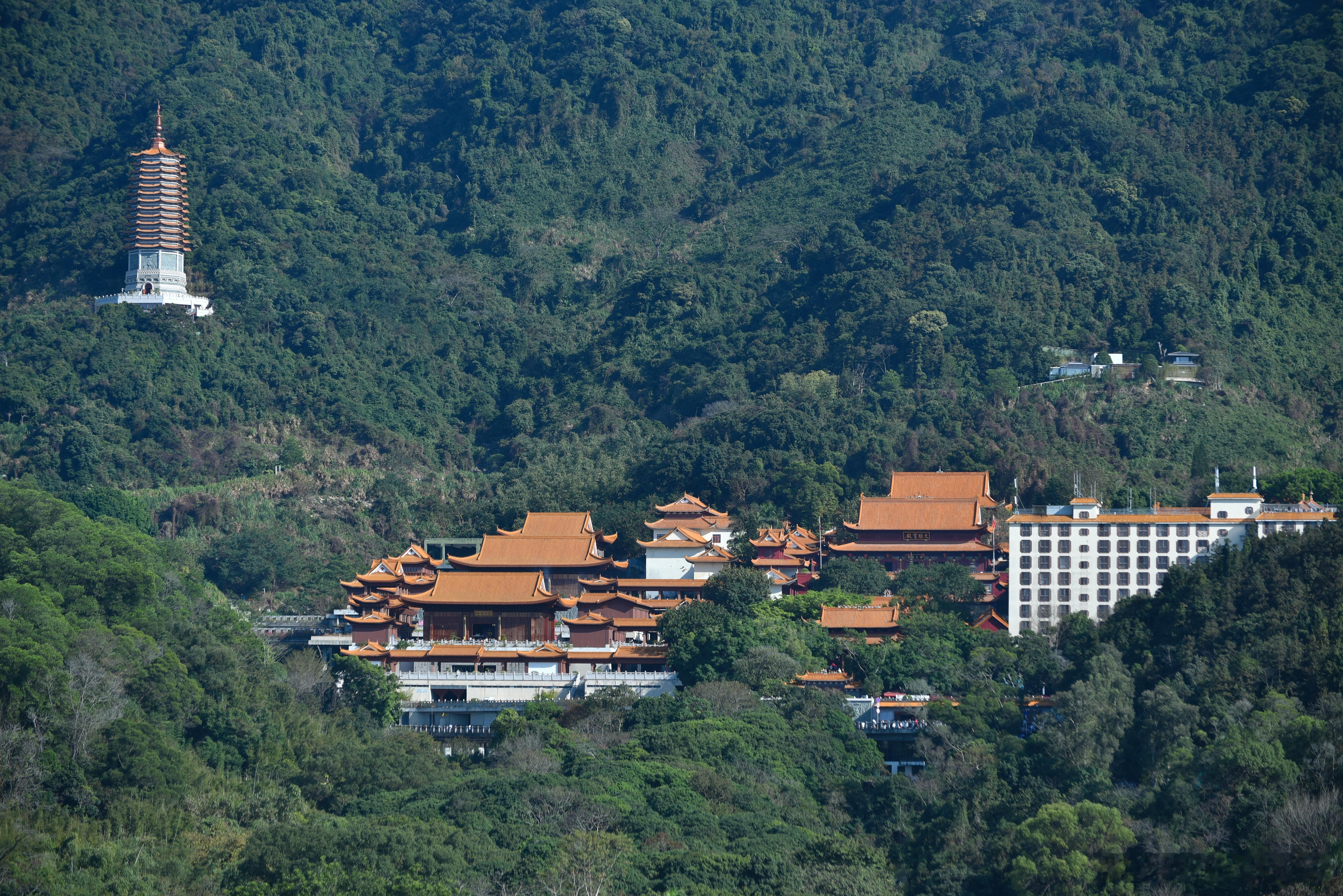 深圳弘法寺 城市影像记  摄影V计划  梧桐山艺术小镇  摄影[超话]  摄影技