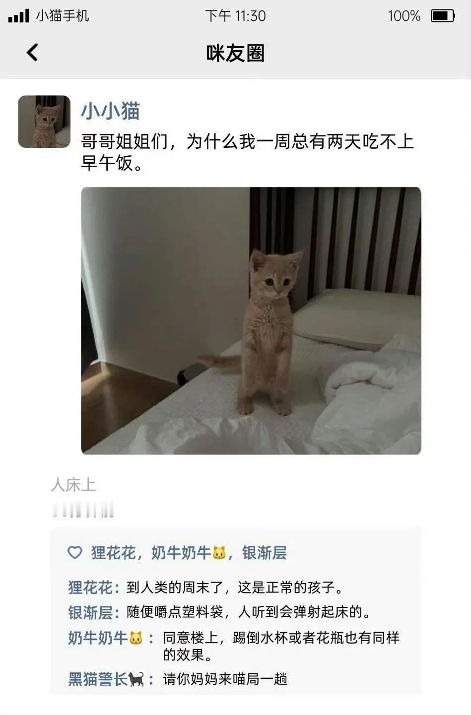 小猫又双叒叕发朋友圈了假如小猫有朋友圈 ​​​