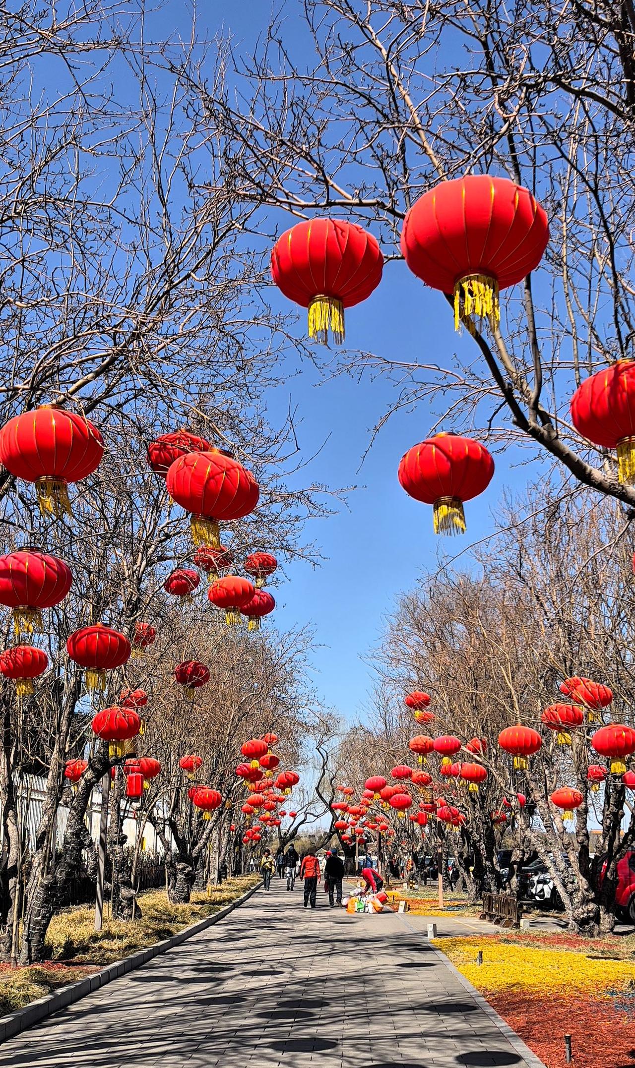 【原创】三八妇女节，外出游玩，漫步在北海公园，挂满红灯笼的人行道上，感受节日的氛