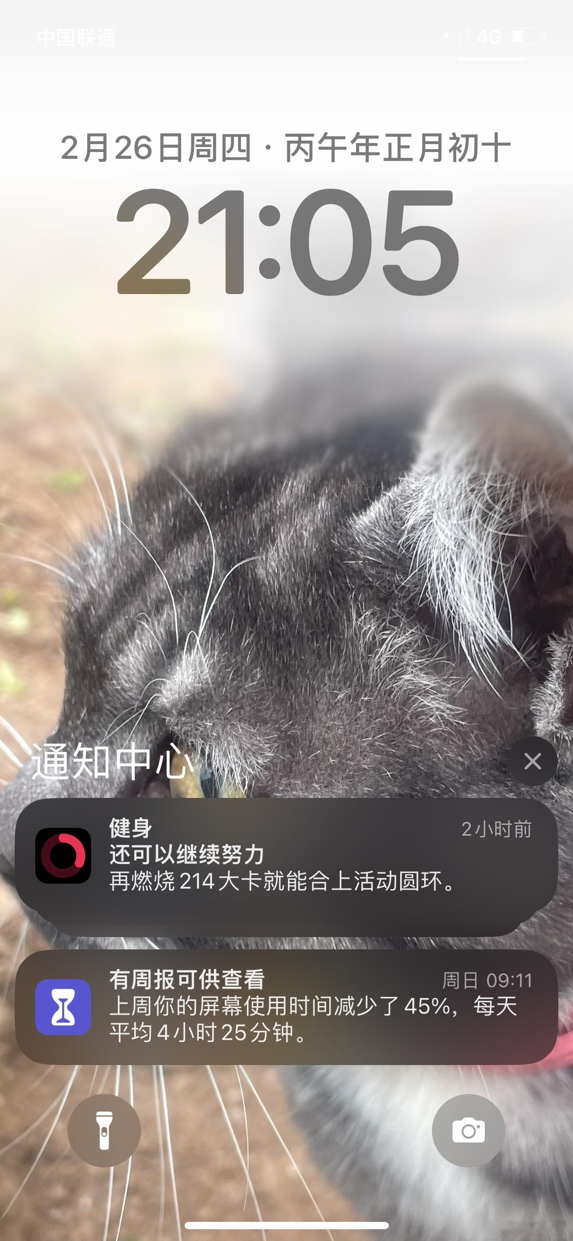 准备开始打工看我手机使用时间，比上班少成倍减少 