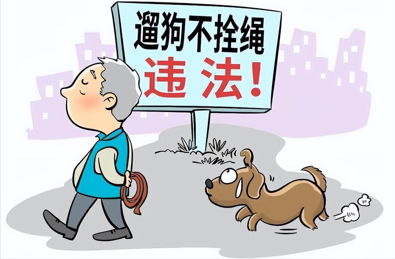 明年起遛狗不拴绳要被拘留？那些喊“我家狗不咬人”的养犬人士，请一定要注意了！这不