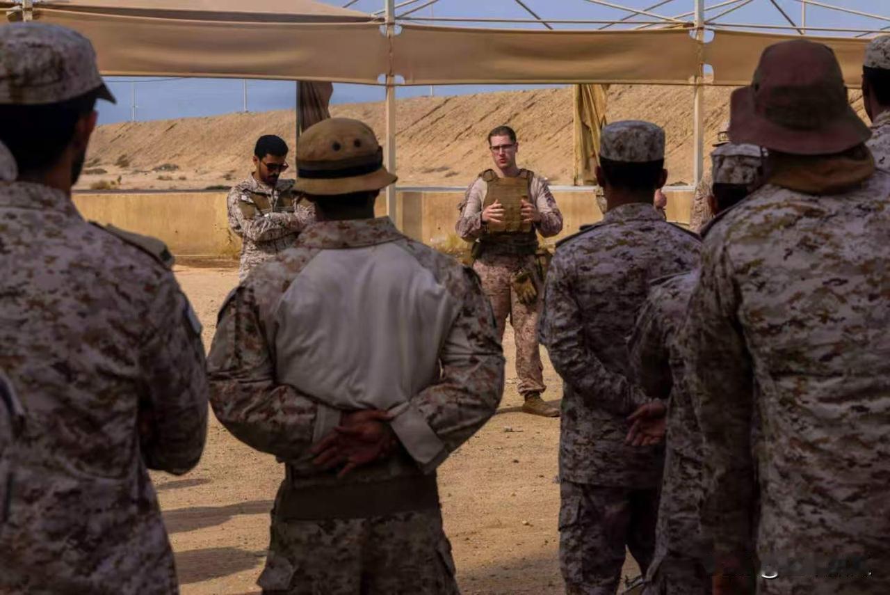 美国人可恶。伊朗伊斯兰共和国公共秩序部队司令艾哈迈德-礼萨·拉丹在接受采访时表示