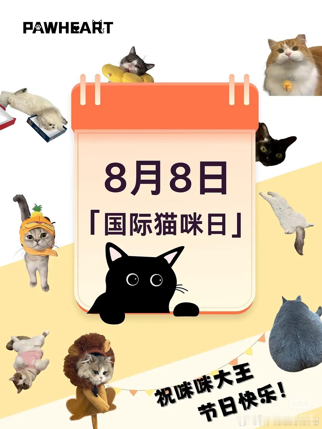今天是国际猫咪日诶那个谁可以出来营业么 
