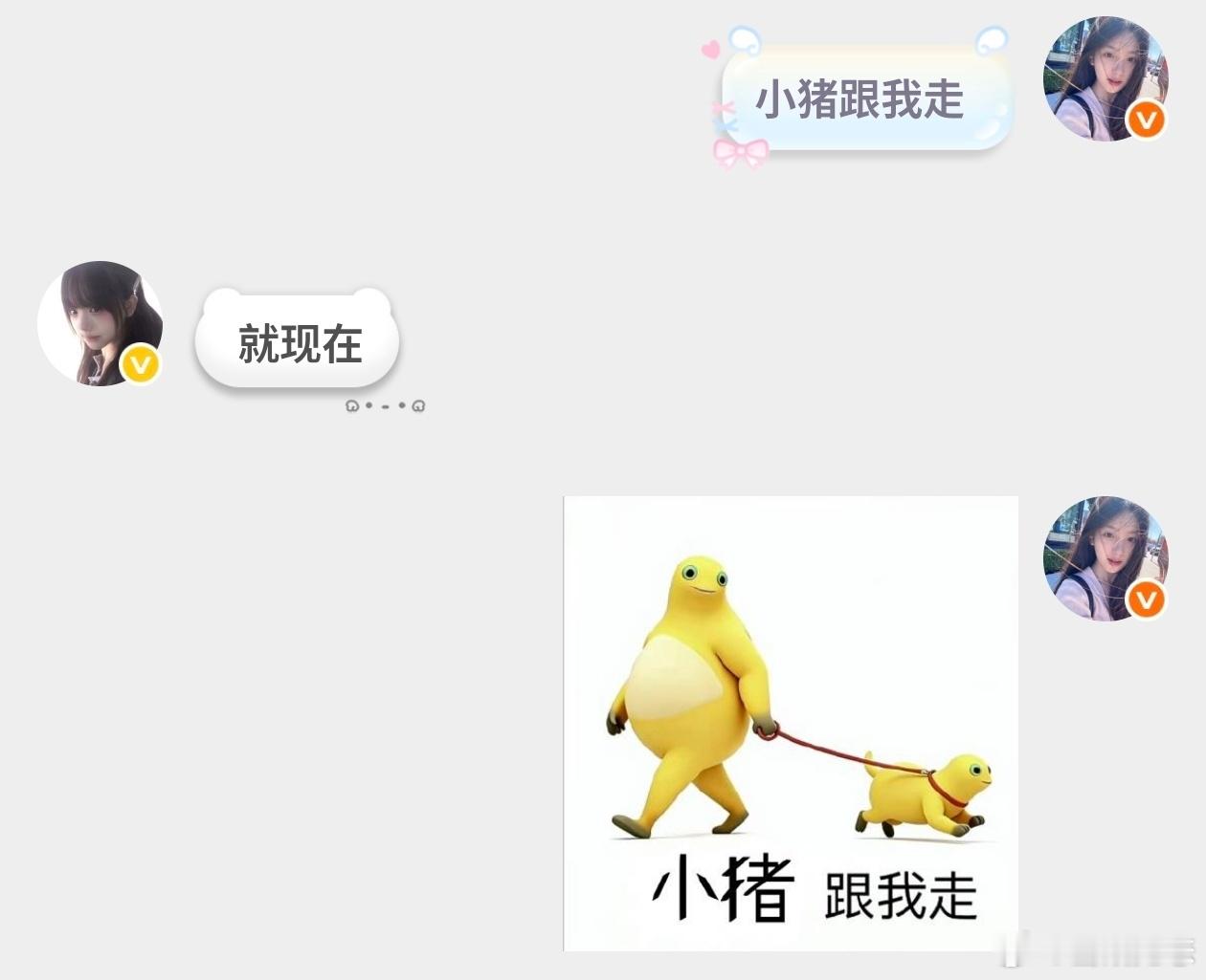 小猪跟我走 
