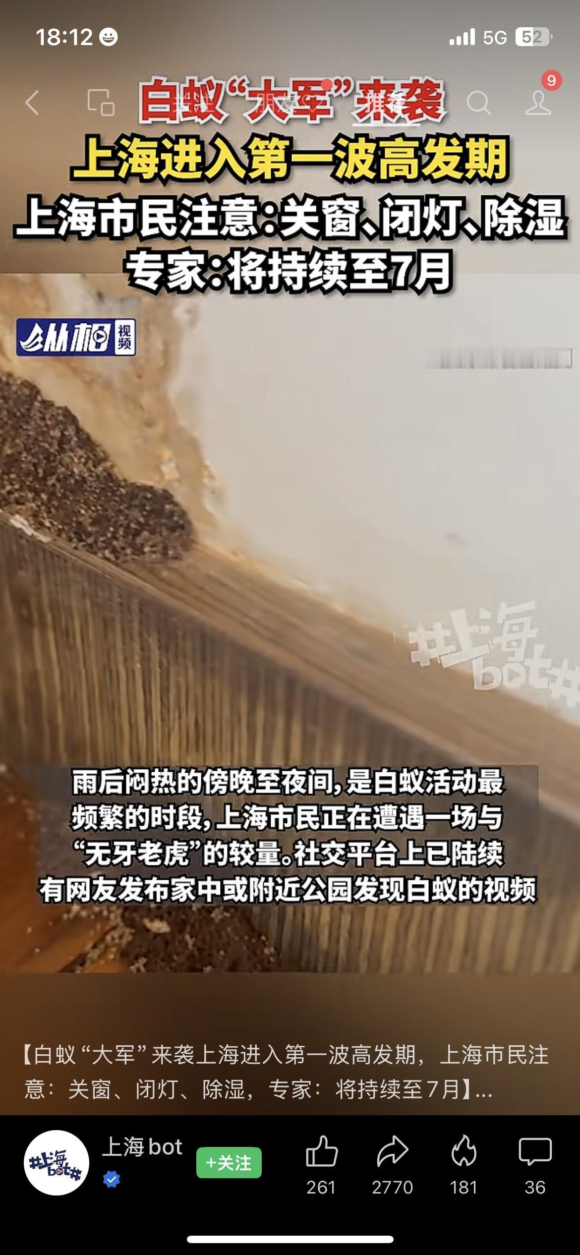 在上海的紧急注意！白蚁“大军”已进入第一波高发期，5月25-26日是高峰，持续到