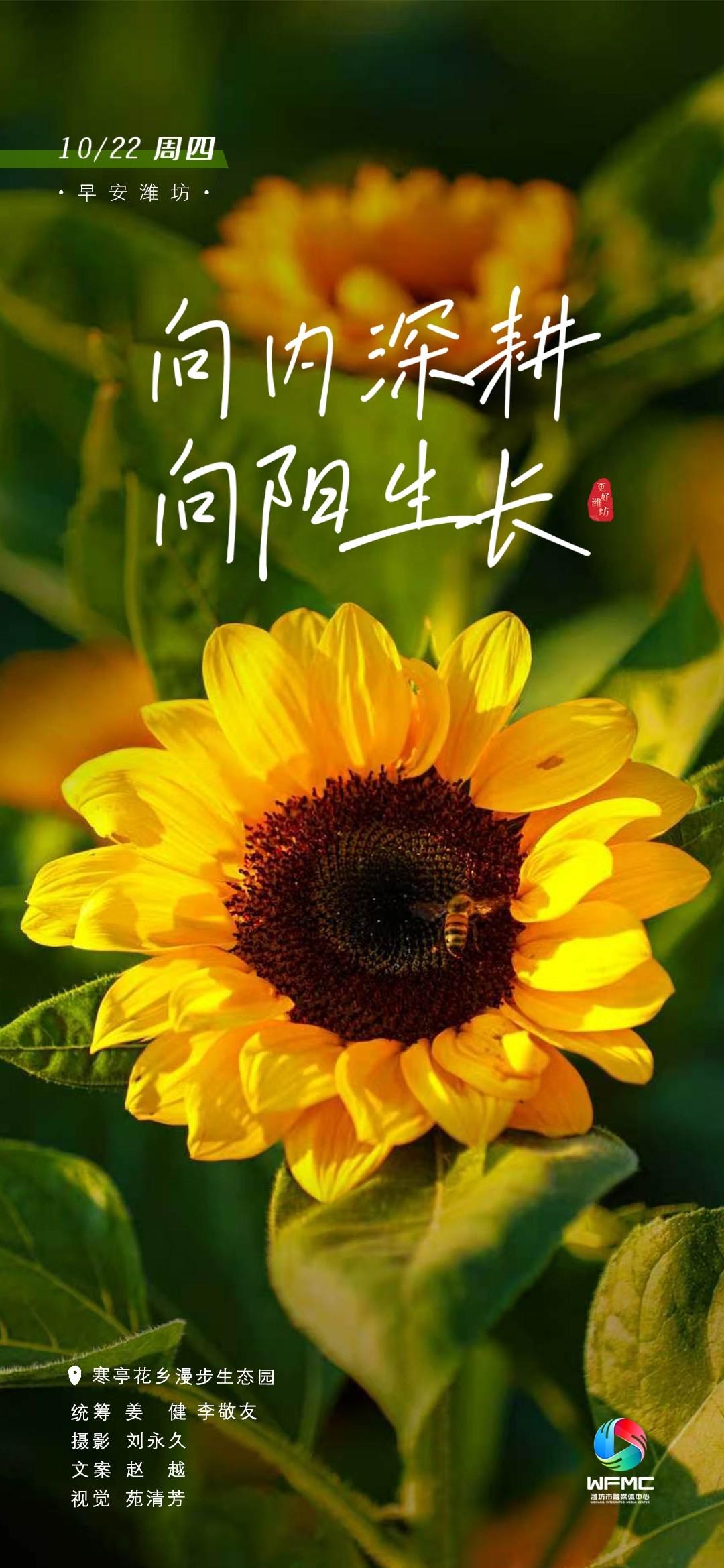 今天白天到夜间，天气多云转阴局部有小雨，南风3～4级，9℃到17℃。潍坊北部沿海
