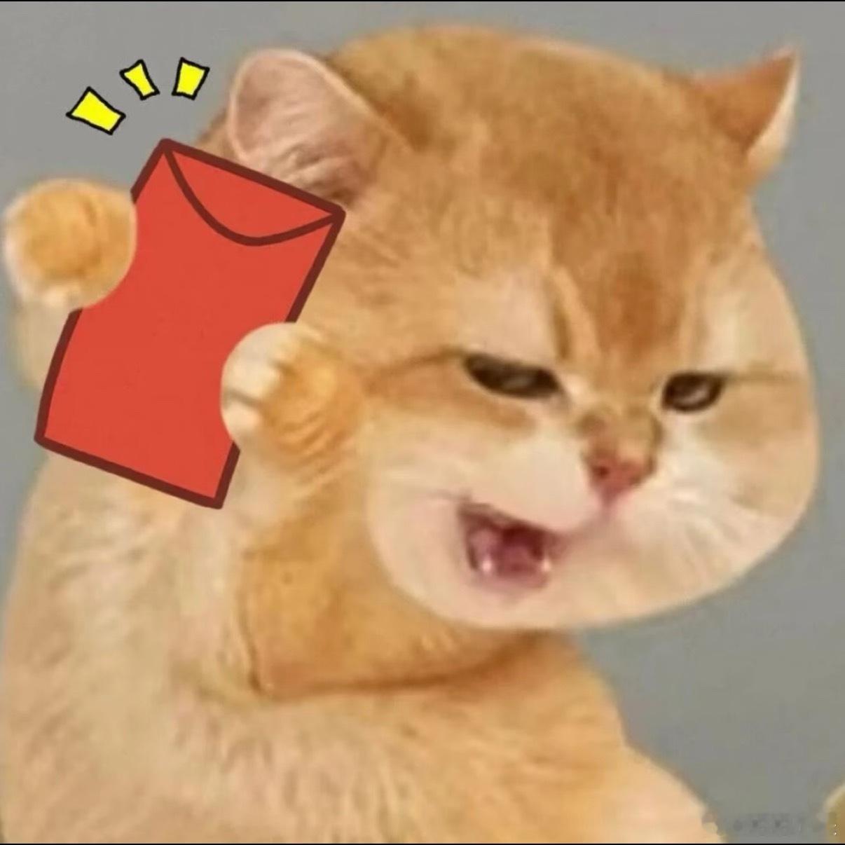 uu们今晚的红包现在已经打响啦，大家也可以去关注，我们几个都不是同一时间点发，确