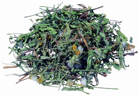 吸烟的人应该多吃什么？
　　①蒲公英。蒲公英不仅祛火消炎，还特别利尿。蒲公英含有