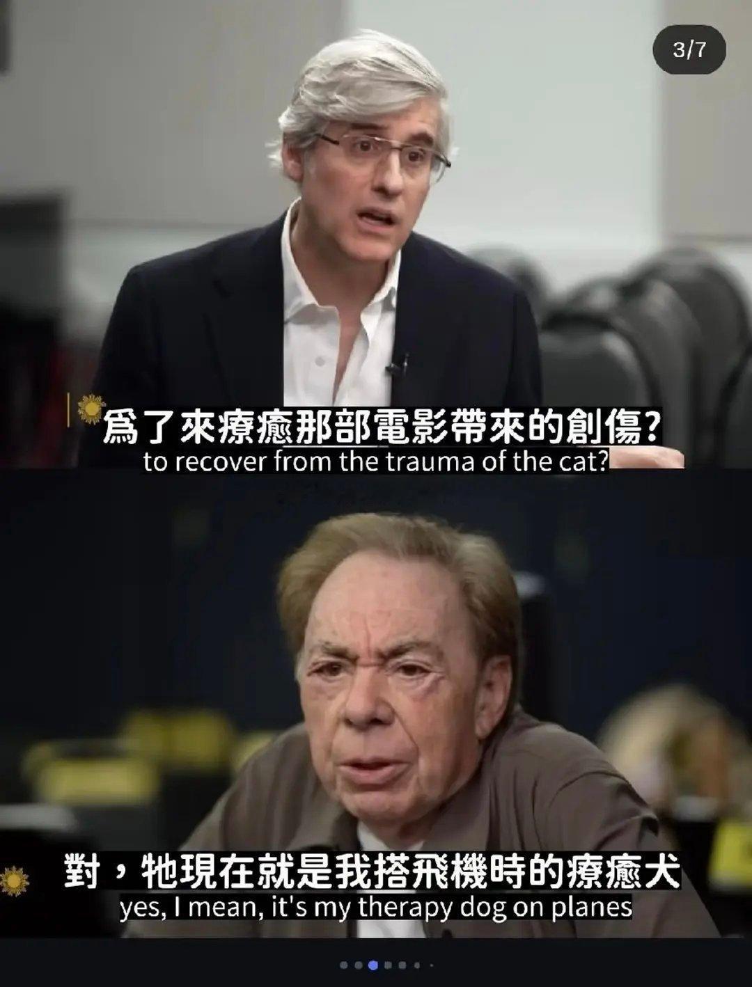 因为电影版《猫》太烂，原作者气到买狗疗伤～