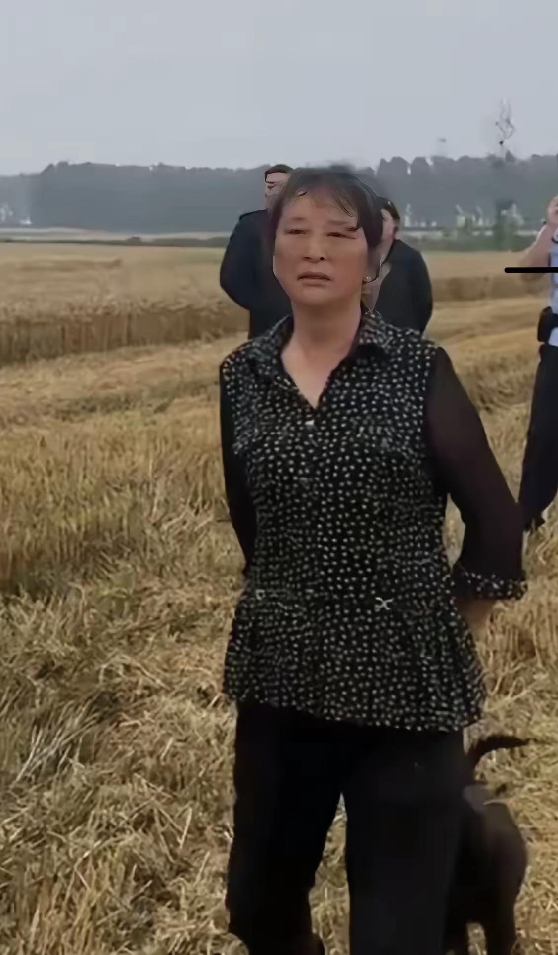 “割四赔五”，这是一个新词，大家可以在网上搜搜，看看他的来历。
    这一下，