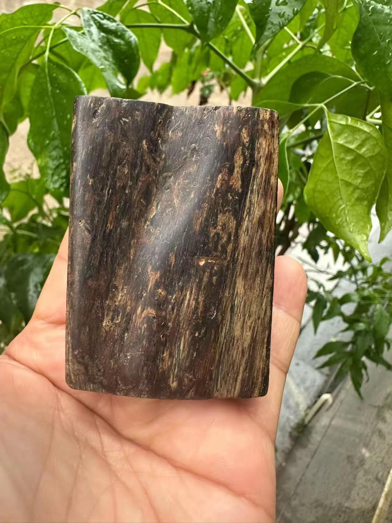 文莱沉香方牌。