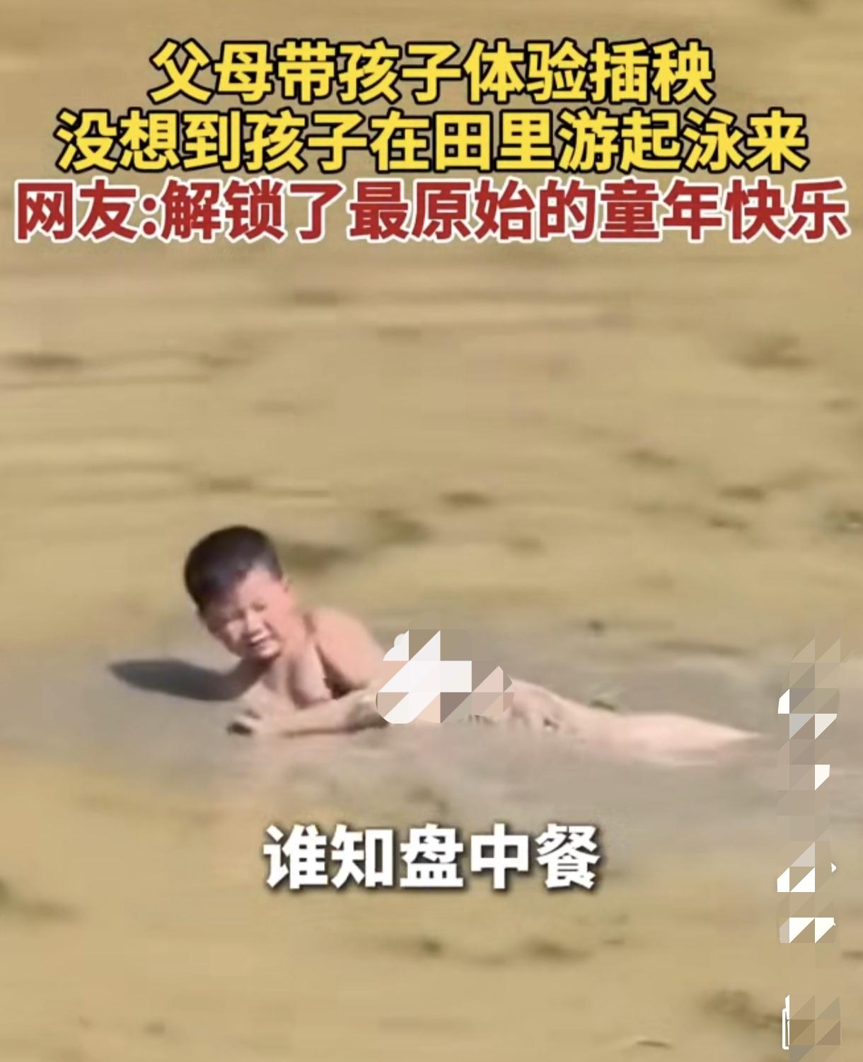 近日，贵州，一父母带孩子体验插秧，没想到孩马在田里游起泳来。网友：解锁了最原始的