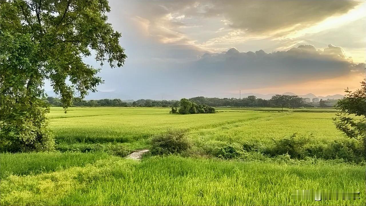 春雨

在寂静的夜，
你悄然降临，
像天使的呢喃，
轻触沉睡的大地。

细密的丝