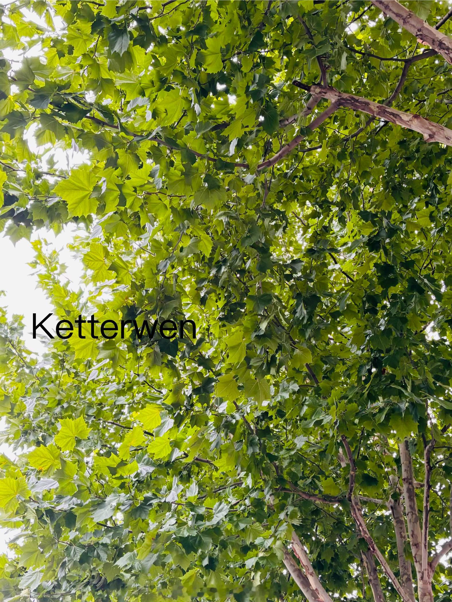六月三十の樹蔭流轉  专栏 · ketterwenの騎行紀錄