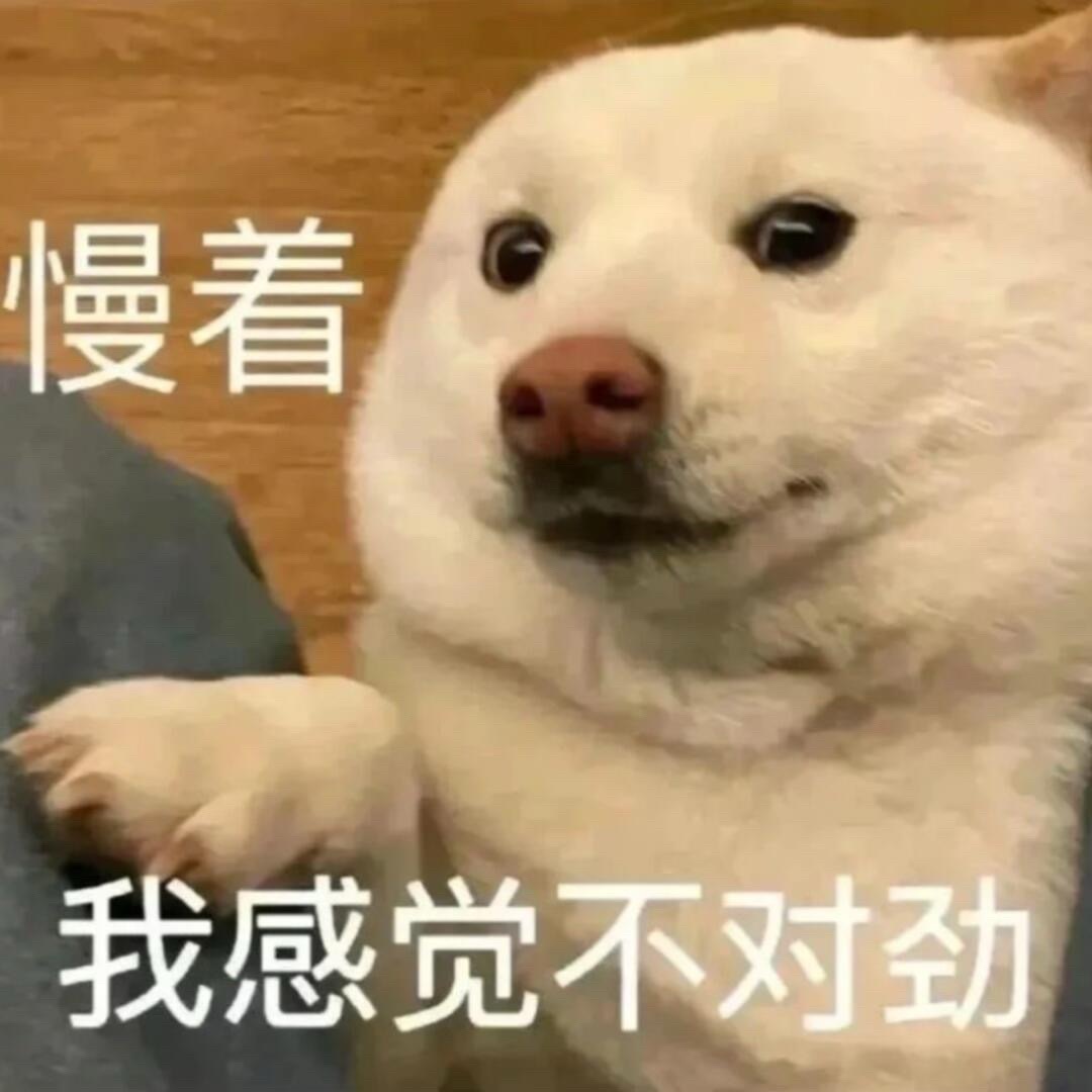 丽君日常：排练 吃饭 逗粉丝 