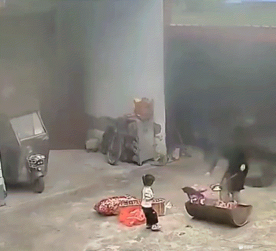 人之初  性本恶是真的
