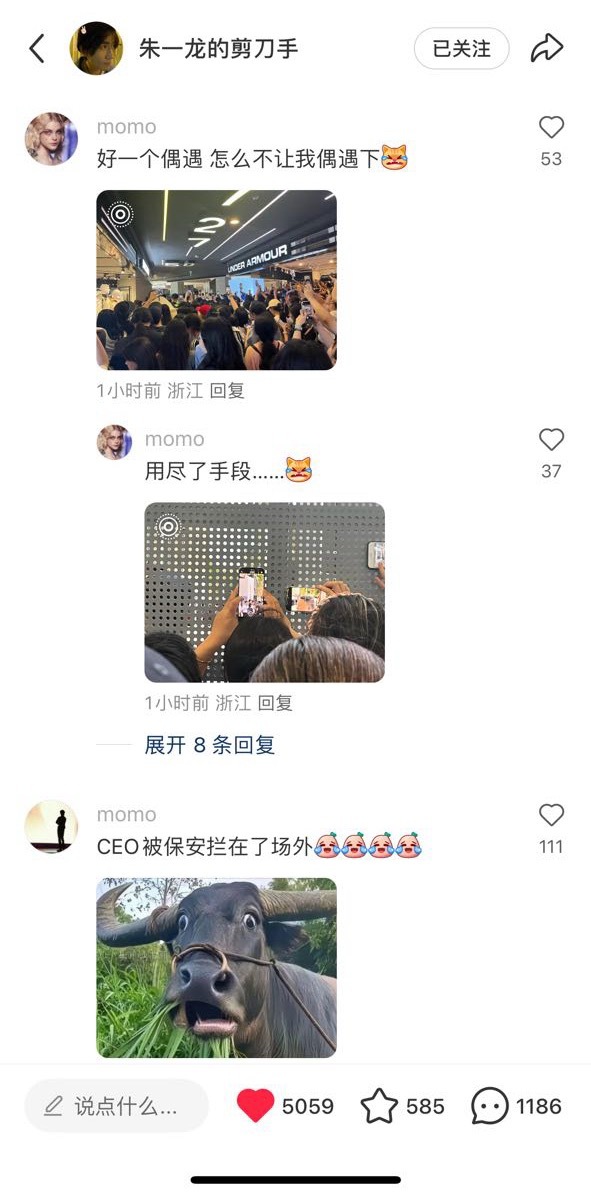 不是，你们在拍啥[傻眼][傻眼][傻眼]那头牛好好笑[允悲] ​​​
