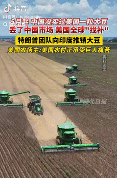 中国禁止买美国大豆后，特朗普团队急寻新的买家，甚至将目光转向了印度市场。
 
丢