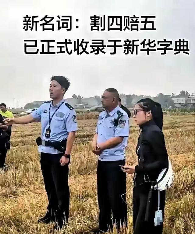 襄阳“割四赔五”这事儿太离谱了。河南小夫妻去帮忙收麦，说好的4亩地给400块，干