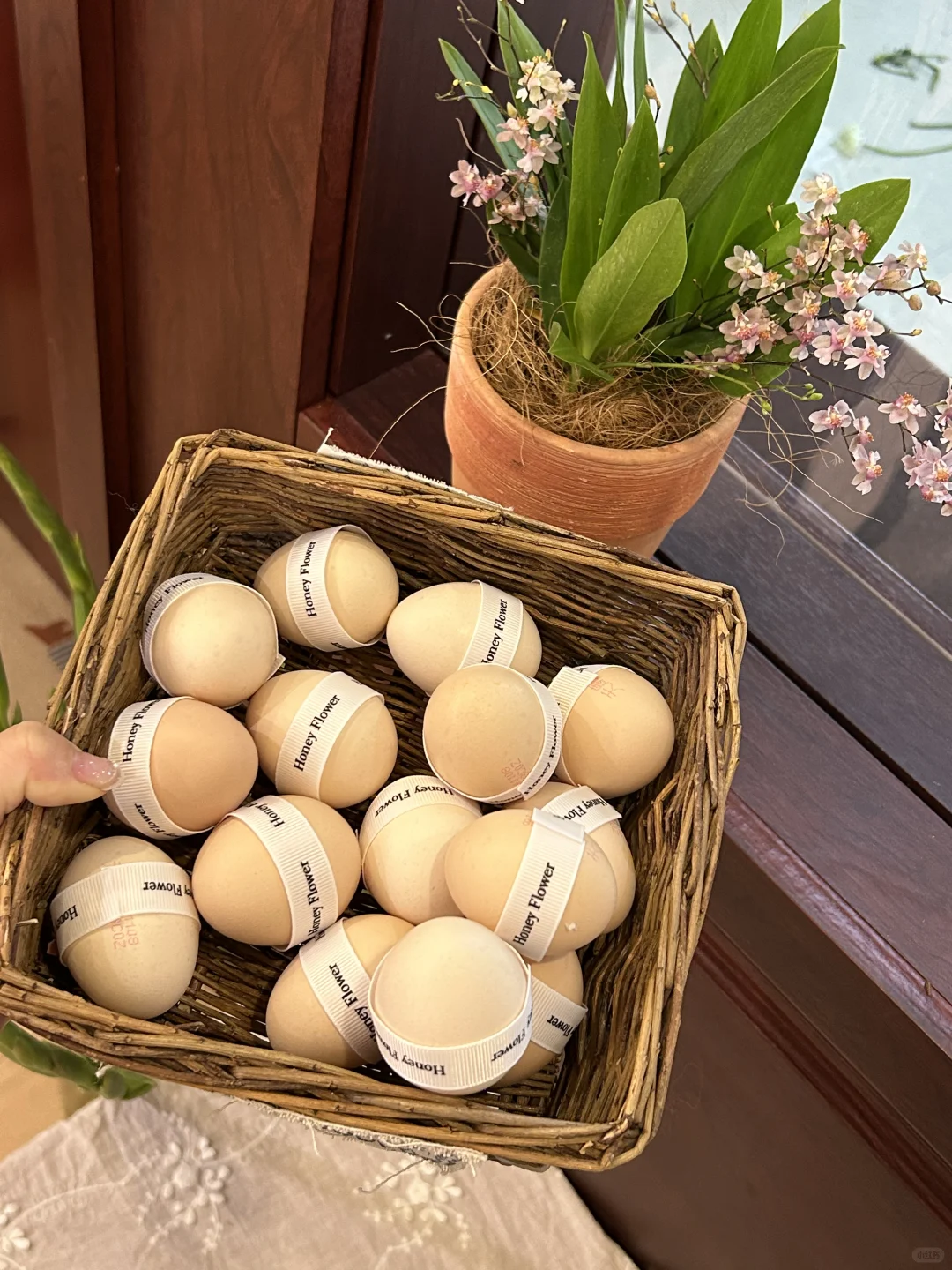 泗洪花店｜最近的龙宝宝好多啊🥚