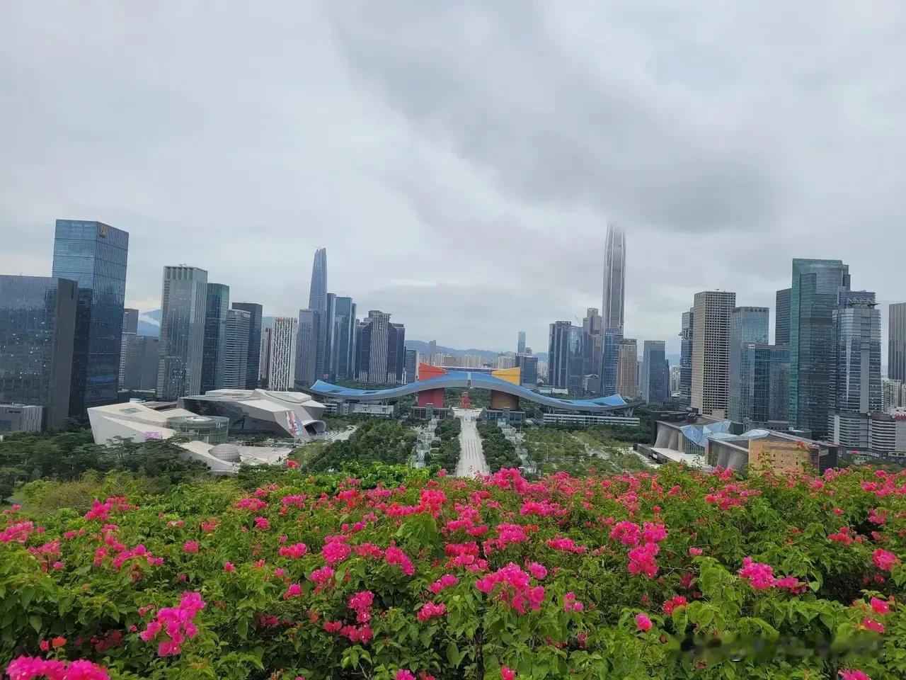 国庆假期，我怀着满心的期待重游莲花山公园。这座位于深圳市未来中心区北端的公园，承