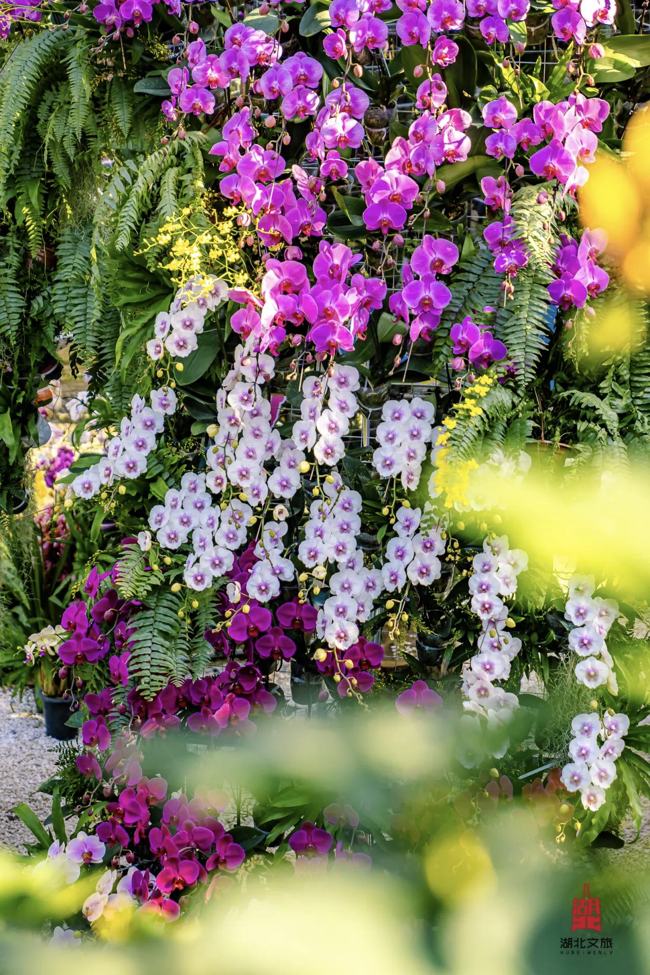 【自己不掏钱的事，不发表任何意见】
        “自己不掏钱的事，不发表任何