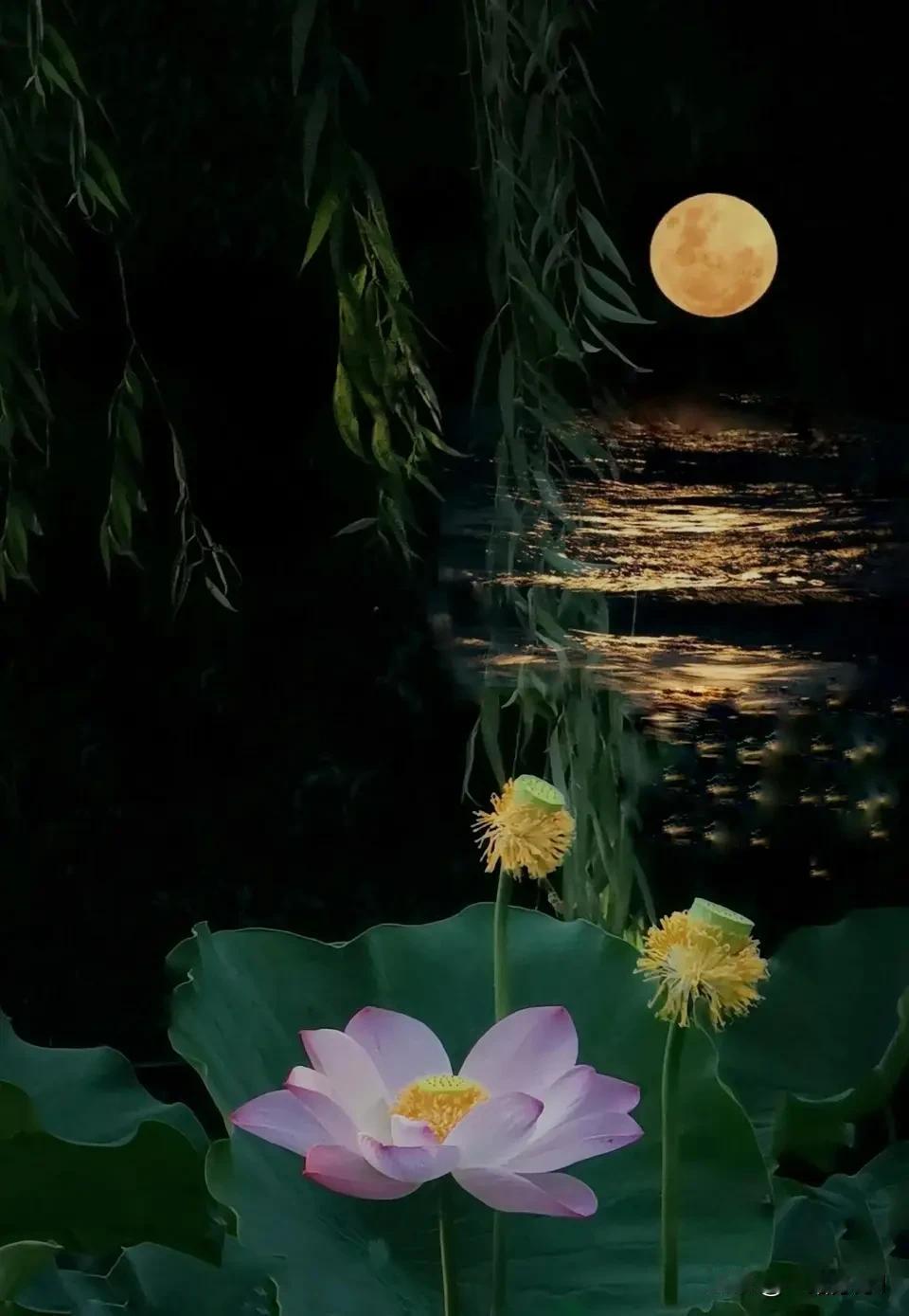 自从队友上了班以后，耳根清静了不少，白天一人在家，也没人唠叨了，我也可以安心拿着