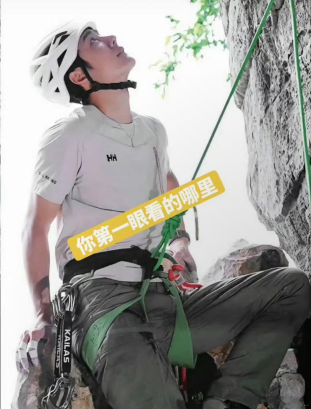 我看脸…… 