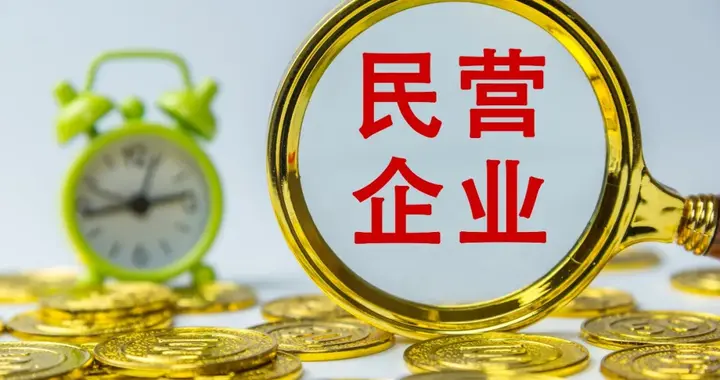 民企高管受贿赃款，必须“一律上缴国库”吗？ | 新京报专栏