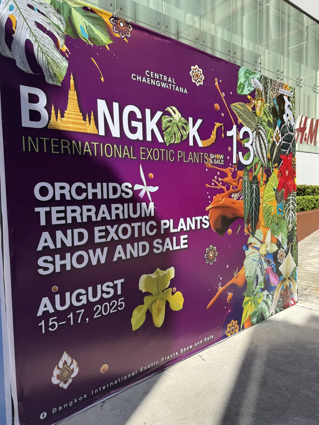 泰国的植物展会
