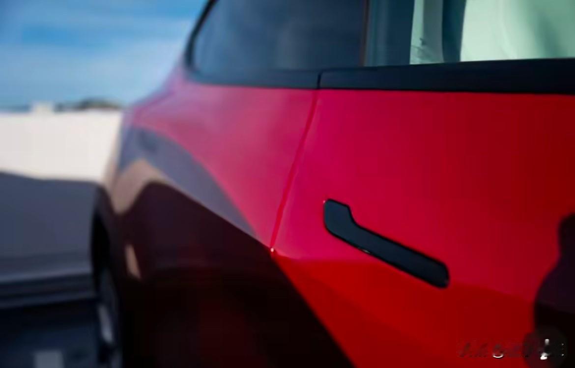 国家终于对特斯拉出手了，不过，遭殃不是特斯拉工厂，而是那个被特斯拉带火、让无数国