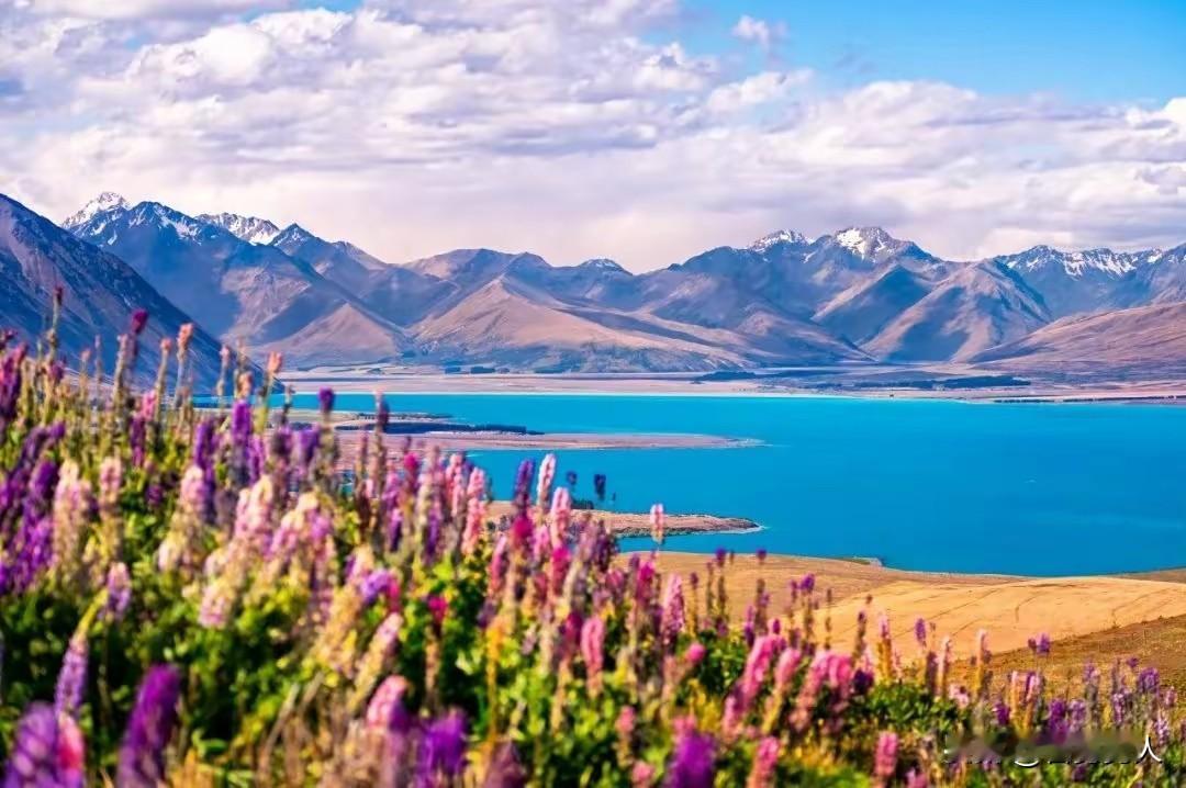 时间或长或短，
既往或深或浅，
所见皆是旅途中的行者，
所遇皆是生命里的过客。