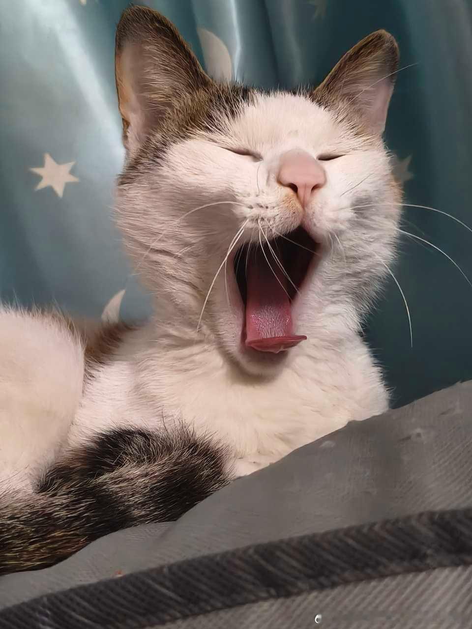 49488【丑吗】实况图自动截取的封面，朋友说像李dhduhdj融gegducy