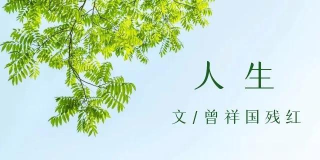 写文章哪有那么多为什么，喜欢就写呗！
这13年来，因为喜欢文学，所写诗、词、杂论