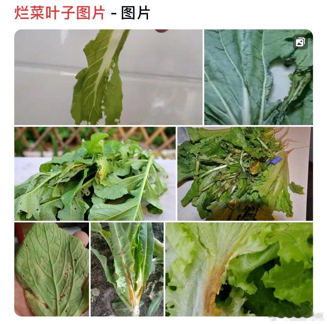 #王楚钦2比3本雅明# 也是让大家都能赢世界第一了！这何尝不是王楚钦的丰功伟绩呢