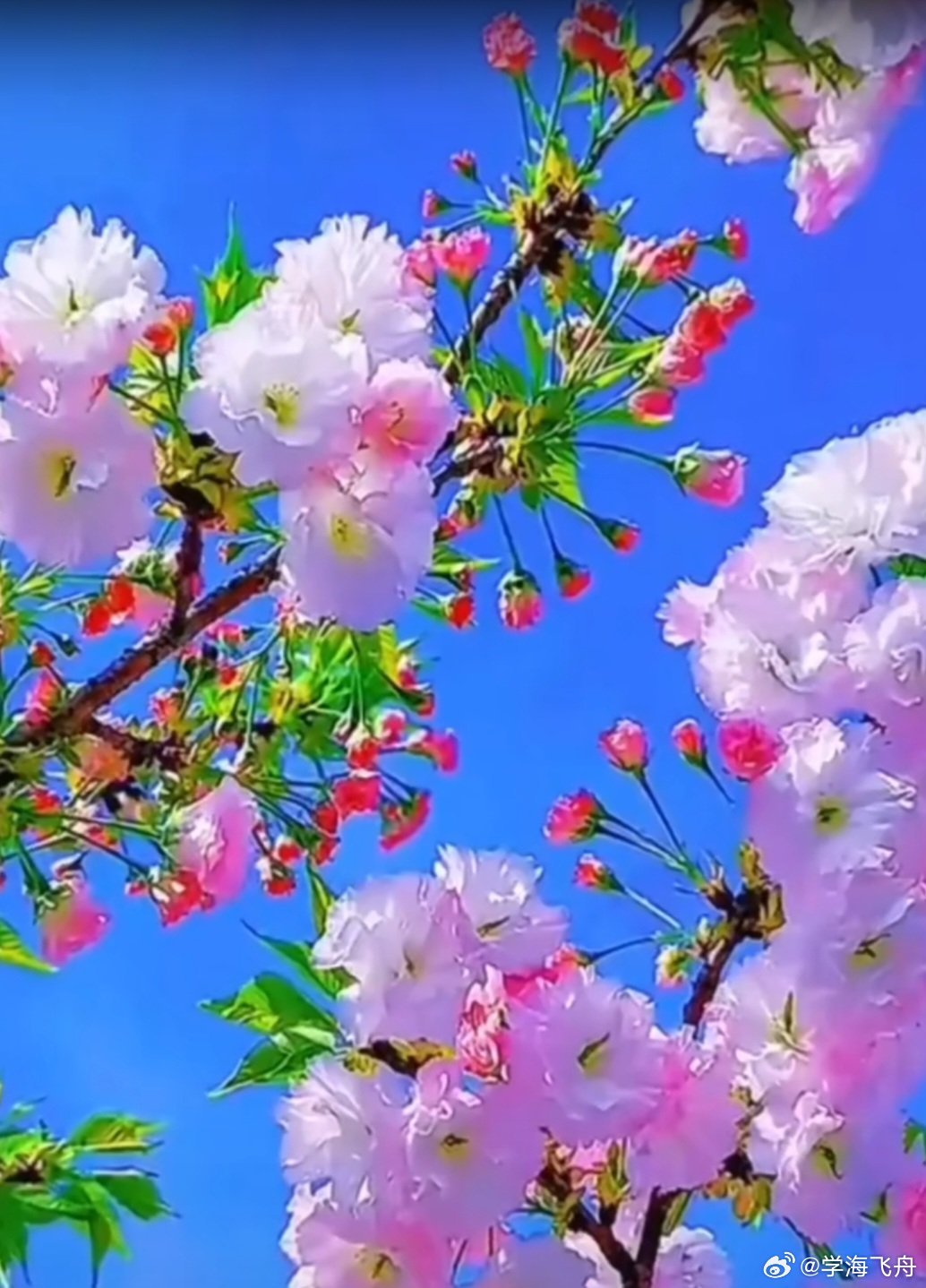 今天A股大盘仍为横盘整理走势：东方财富App显示的10项指数有6项尾盘微涨收红，