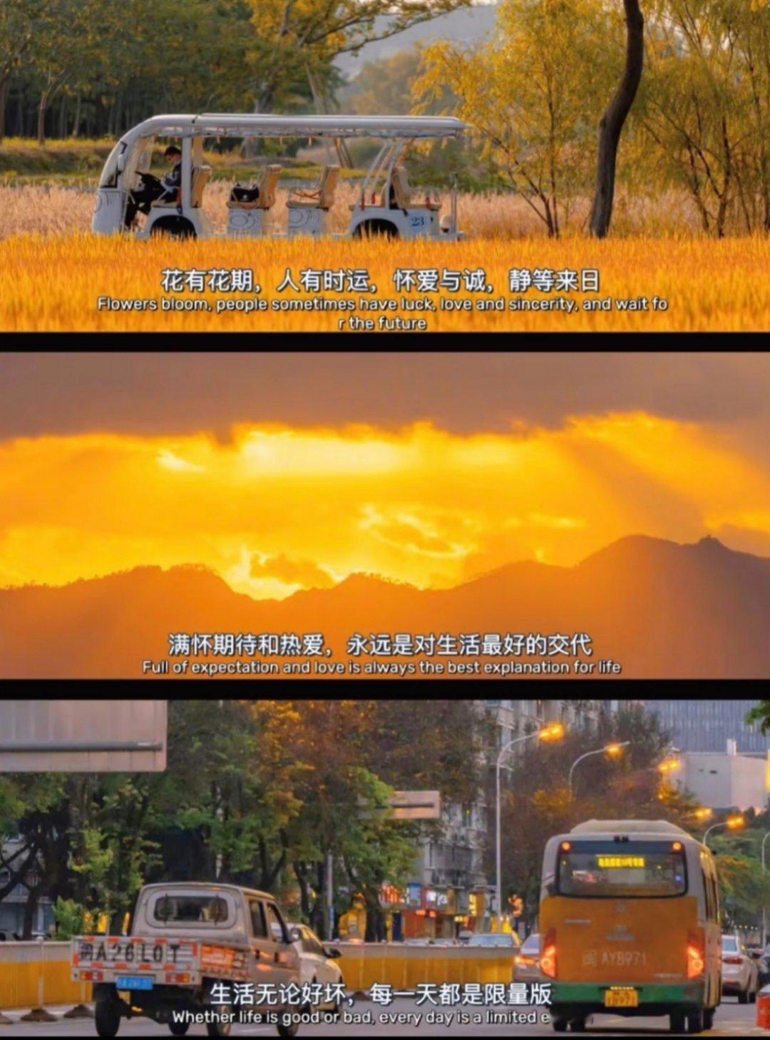 30岁是人生分水岭吗 “生活的本质就是，千难之后有万难。”三十而已，人生还有无限