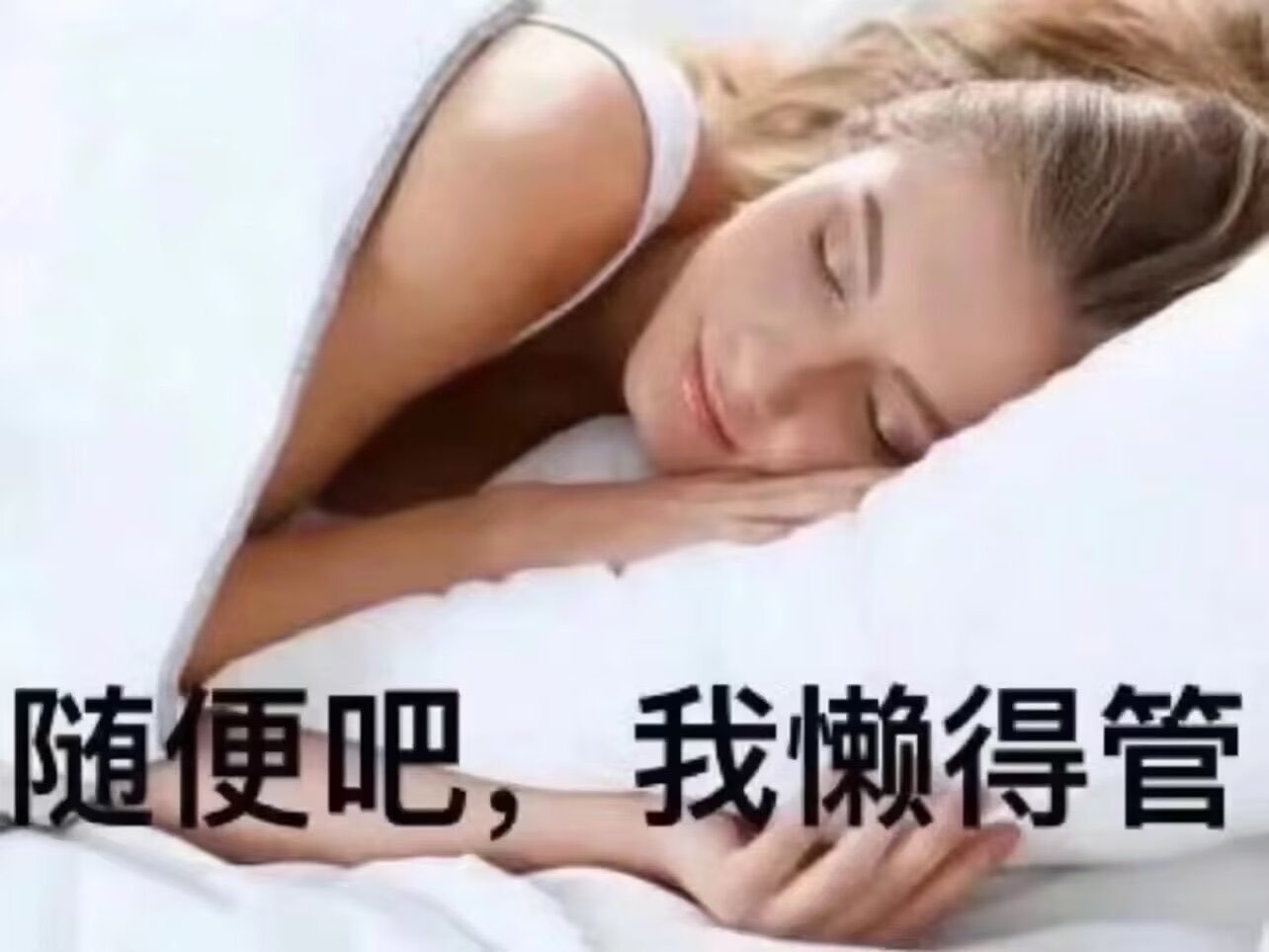 我对这世界: 