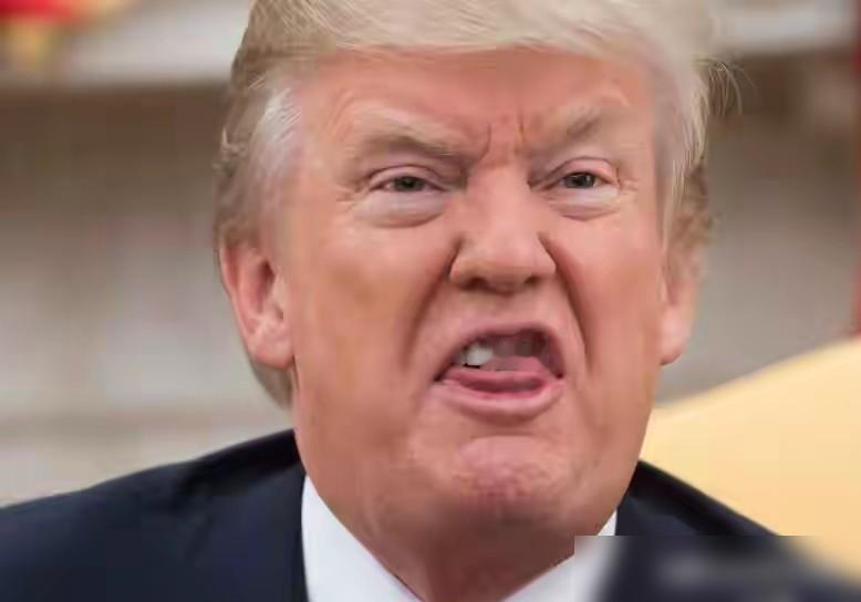 成事不足，败事有余！

这两天中东的局势看得人直皱眉，4月13号特朗普顶着国际社