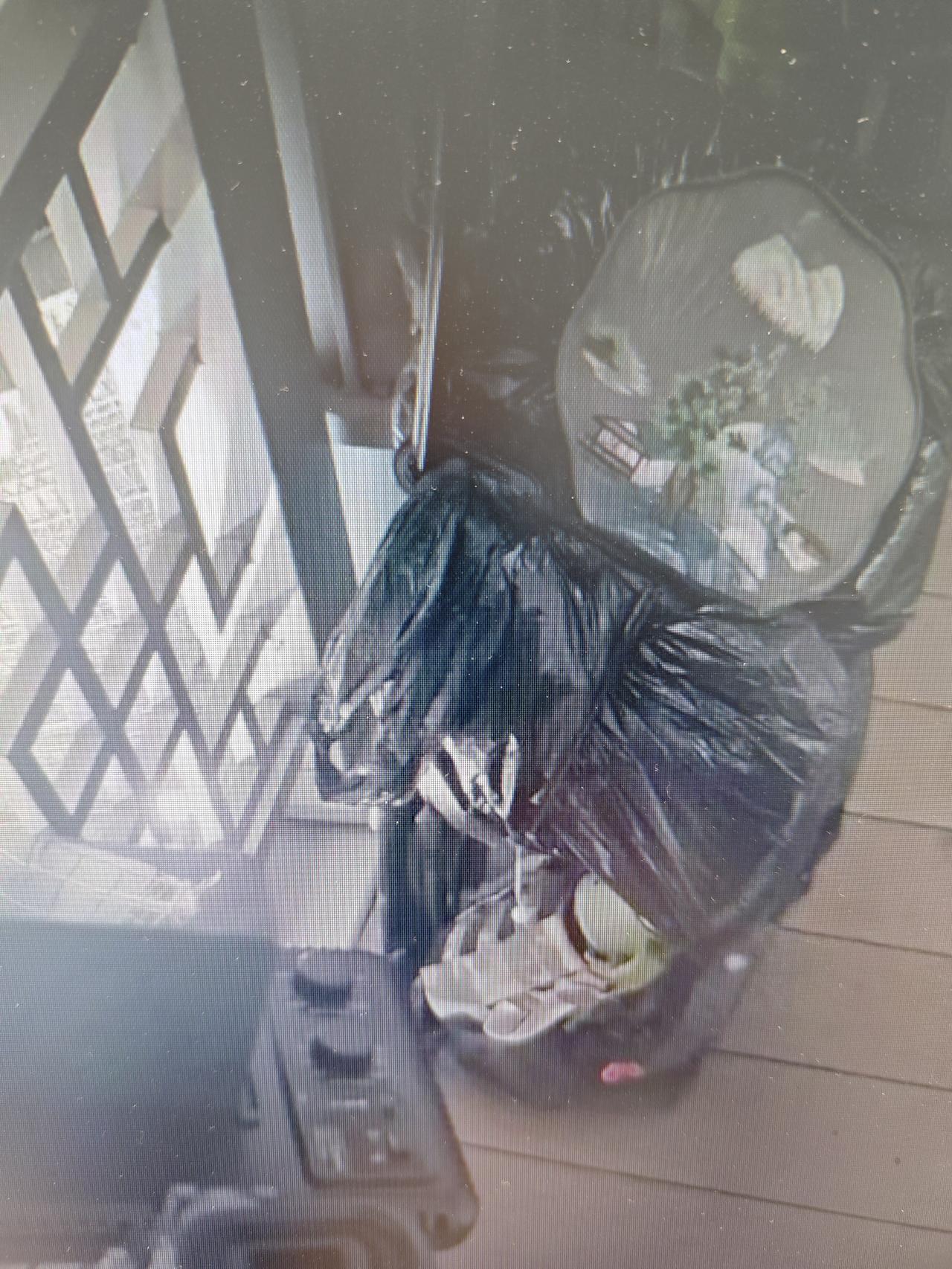 景区禁止商业拍摄对吗？

据封面新闻报道，近期，河南旅客沙先生，在开封万岁山景区