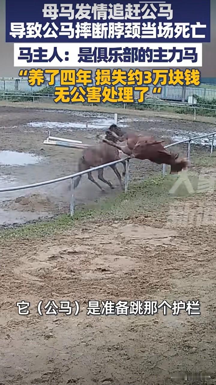 生命的脆弱！
个人感觉，很多动物都是很坚强的，身体和力量都很好。比如，动物世界里