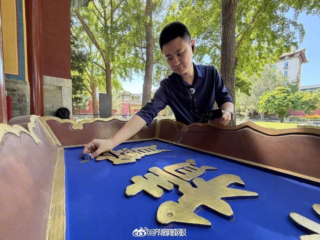 【#专家回应啄木鸟啄北海公园牌匾#：是啄木鸟的生存习性，并非虫蛀】#专家称北海公
