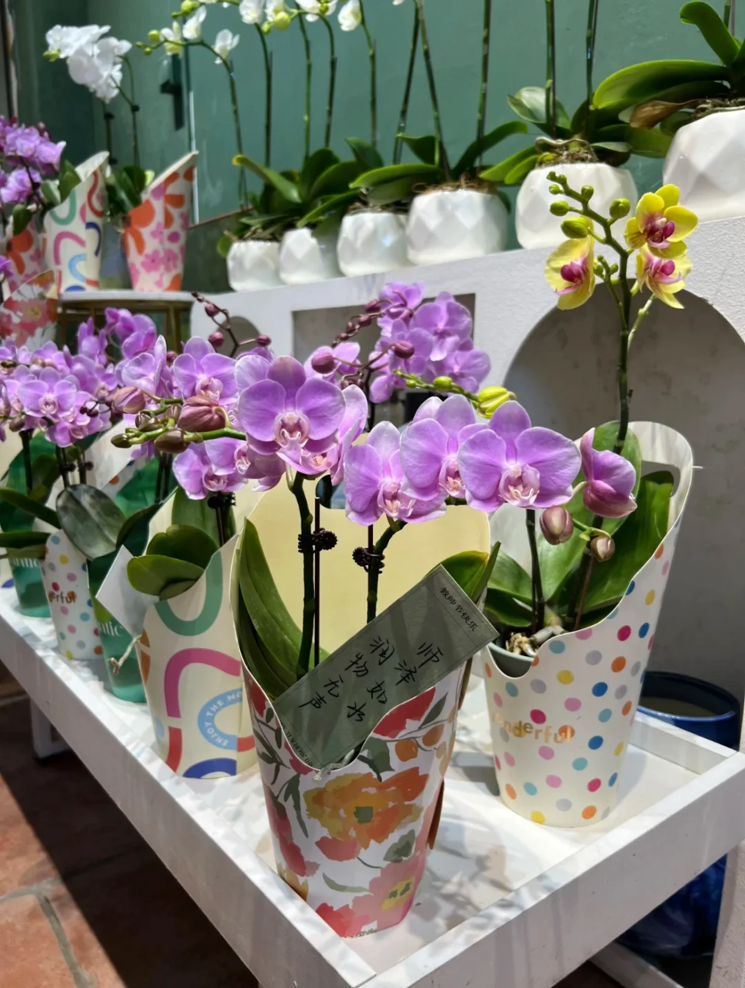 教师节需要小小的仪式感