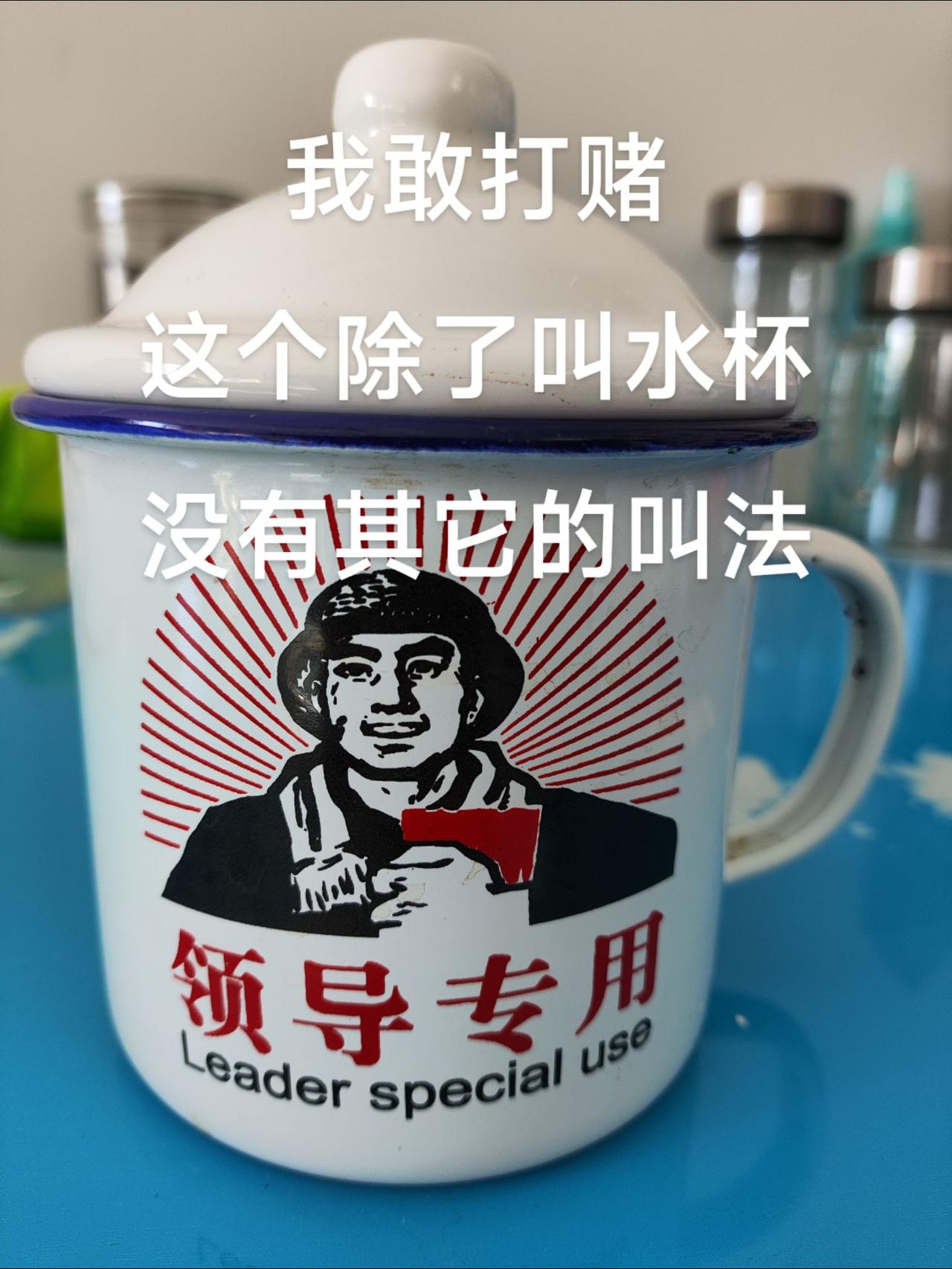我敢打赌，这个东西除了叫水杯，没有其它的叫法！一本正经飚方言 方言 方言土语 家